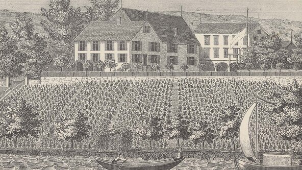 François und Eliza Wille und der Richard Wagner des Zürcher Exils. Netzwerke, Lektüren, Projekte