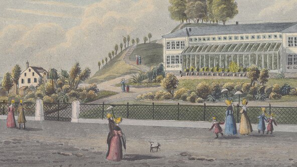 Zürich im Buch: «Zürichs grüne Wunderkammern»