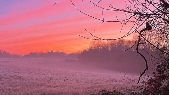 Winter Unwind - 3 Week Online Series 