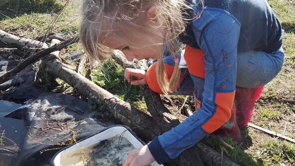 Home Ed Forest School ("Year One"-12 years), Summer Term 1 2026