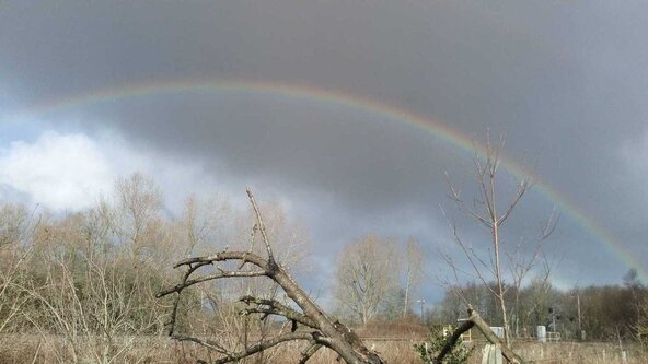 Stay and Play (0-6* years, with attending adult), Autumn Block 1