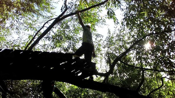 October Half Term Two-Day Forest Fun Camp ("year one"-12 years)