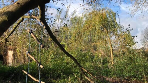 Saturday Family Forest Fun (all ages welcome)