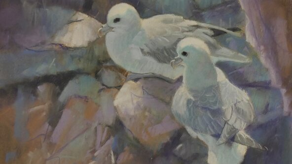 Drawing the Natural World (Part 1) with John Threlfall