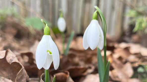 Pilates Spring Gathering