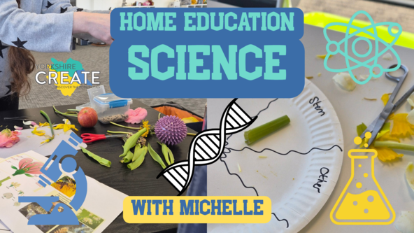 Home Education Science with Michelle