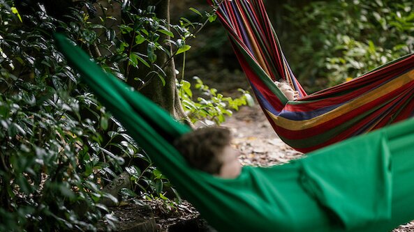 Introduction to Forest School: Inspiring Learning Through Nature