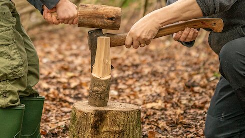 O.W.L.s 10-15yrs Home Education drop off forest school group  Tuesdays Lavant House woods Nov-Dec 2025