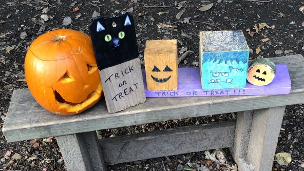 "Pumpkins and Potions" forest school activity drop off sessions - for 5-11yrs 10-3pm at The Secret Garden, Fishbourne.