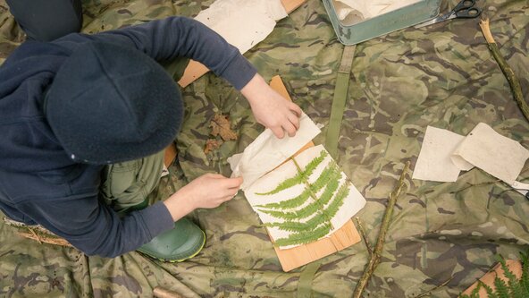 May Half term "Wild Wednesday!" Woodland Forest Activity Day, 10-3, for 5-11yrs at Brandy Hole Copse