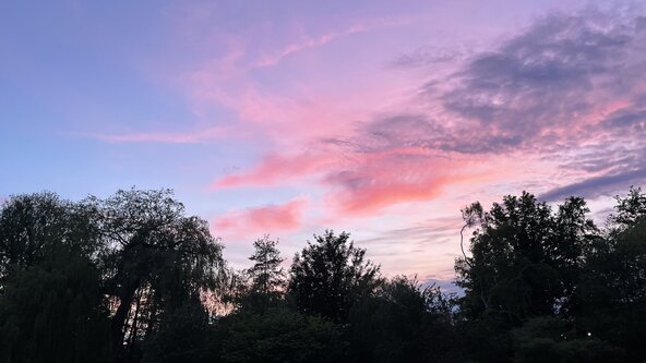 A Women's Circle of Fire, Foraging & Bats