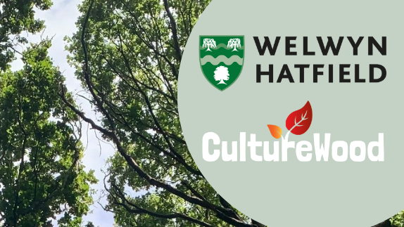 Howe Dell and Oxleys Wood, Hatfield - guided walk