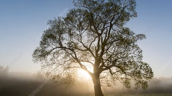 Spring Awakening Sound Bath-Beesley Green Community Centre