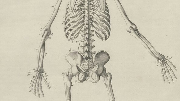 Introduction to Bones 4 Life workshop