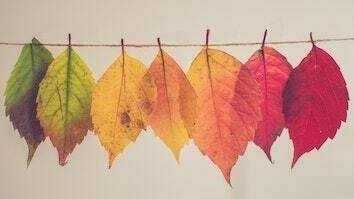 Wednesday Evening Harpole Yoga - Autumn term 