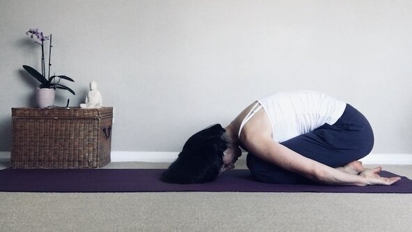 August Rest and Restore Yoga