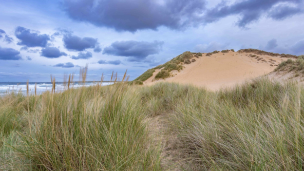 Sunset Ecstatic Dance & Cacao Ceremony on the Dunes 