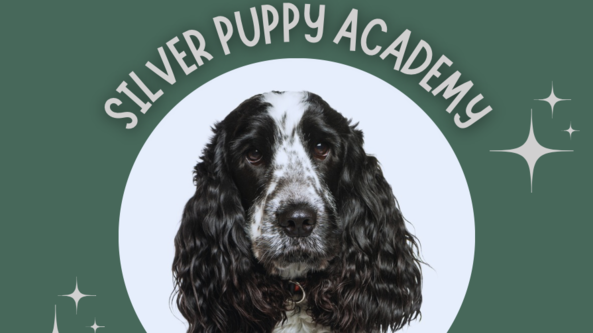 KHDT Puppy Academy Silver Level 12 week class (Including 1 hour 121 session) 