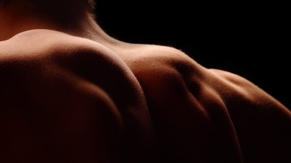 Shoulder Rehabilitation 1 - Making Sense of the Shoulder : DARWIN