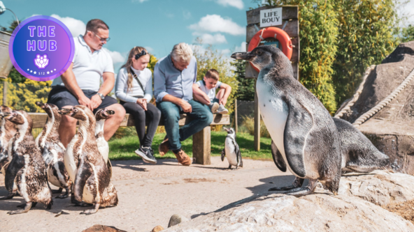 Peak Wildlife Park & Animal Experience - Fully Booked