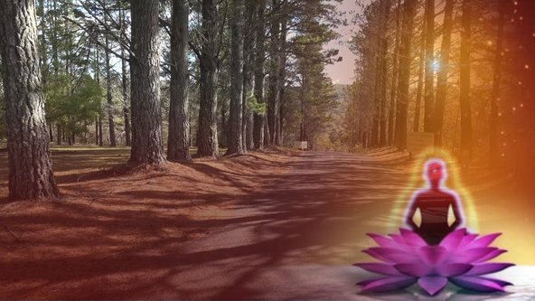 Introduction to Raja Yoga Meditation Evening On-Line Course 