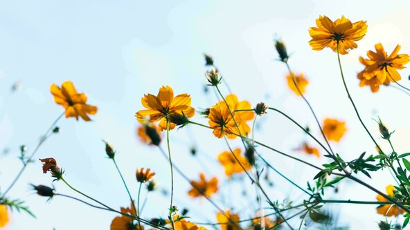 Introductory Raja Yoga Meditation Weekend Retreat