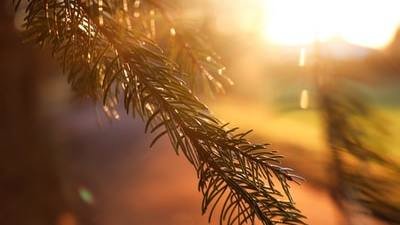 Emotional Empowerment Weekend Retreat