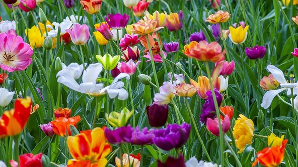 Intermediate Raja Yoga Meditation Weekend Retreat