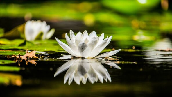 Intermediate Raja Yoga Meditation Weekend Retreat