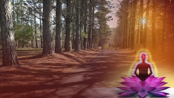 Introduction to Raja Yoga Meditation Day time On-Line Course 
