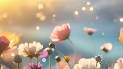 Introduction to Raja Yoga Meditation Weekend Retreat