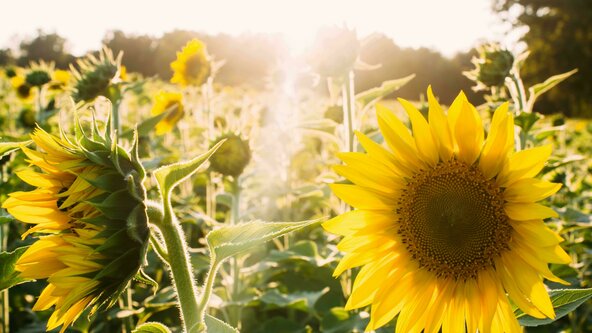 Introductory Raja Yoga Meditation Weekend Retreat