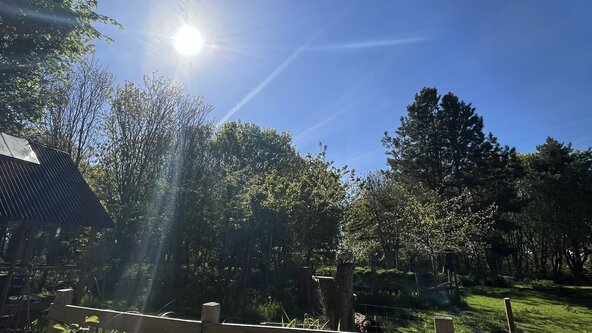 Retreat Calm - a wellness day at The Eco Centre Skegness