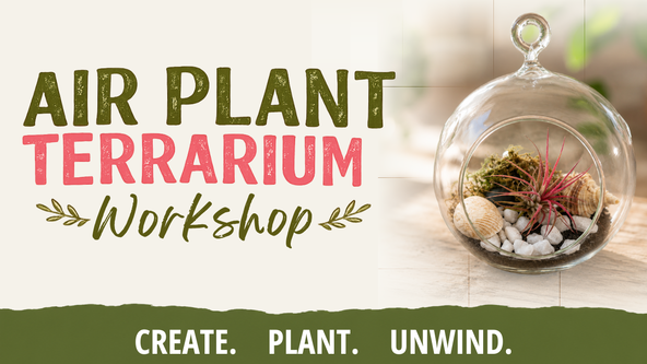 Air Plant Terrarium Workshop