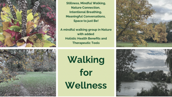 Walking for Wellness 
