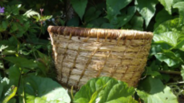 Grass Coil Basket Weaving - The Gardens of Easton Lodge