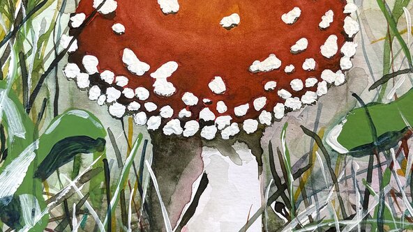 WEEKEND: FUNGI mixed media workshop - ALL / SCFMM226