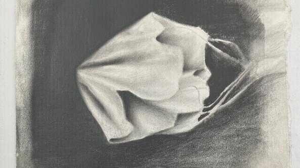 THE VISUAL DIARY: AN APPROACH TO DRAWING - ALL / MVD426