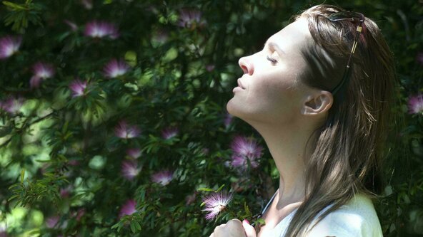 ONLINE Breathwork Meditation Flow 🌈