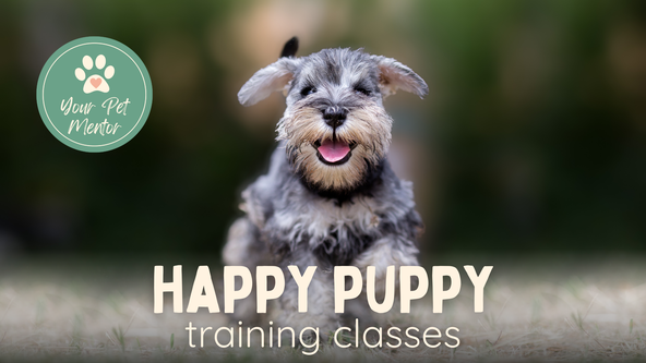 Happy Puppy training classes