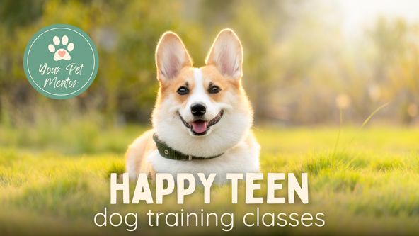 Happy Teen dog training classes