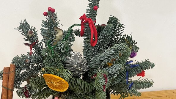 Mini Christmas tree workshop (Aged 7 - 13)