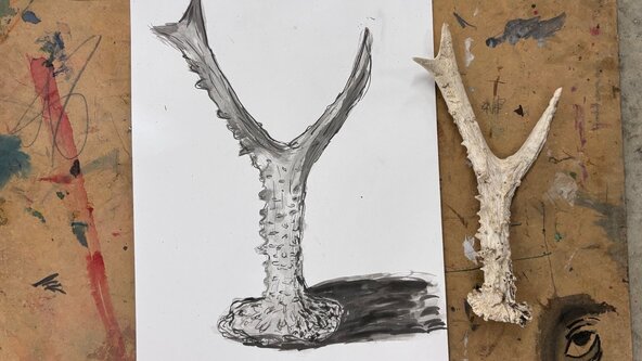 ART - Winter/Autumn programme :   Drawing with inks - 3rd December 2026