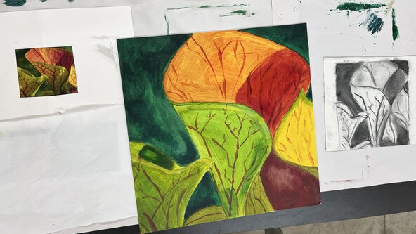 ART - Winter/Autumn programme :  Acrylic painting - 1st October 2026