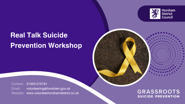 Real Talk Suicide Prevention Workshop - Voluntary Sector Support