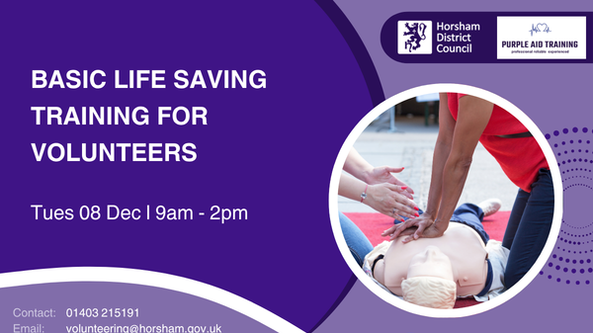 Basic Life Saving Training For Volunteers - Voluntary Sector Support