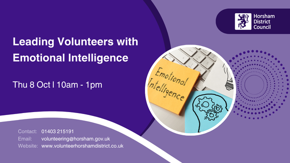 Leading Volunteers with Emotional Intelligence - Voluntary Sector Support