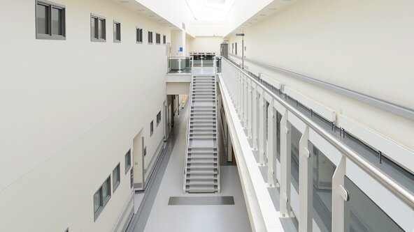 Assessment and Management of Acute Hand Injuries - Level 1