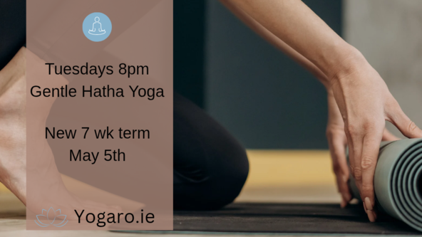 New Term of Yoga 🧘🏻‍♀️