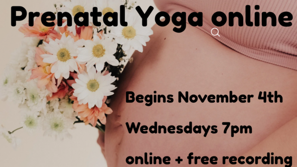 Yoga for Pregnancy online 6 wk block 💕